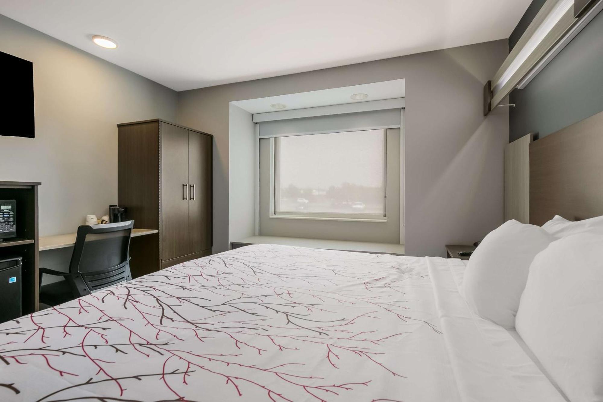 Surestay Plus Hotel By Best Western Sevierville Exteriér fotografie